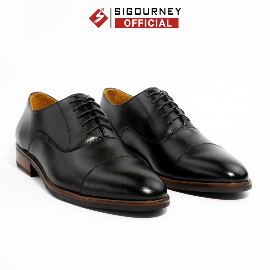 Giày Tây Oxford Sigourney SCC-02: Đáng Tiền Cho Dân Công Sở?